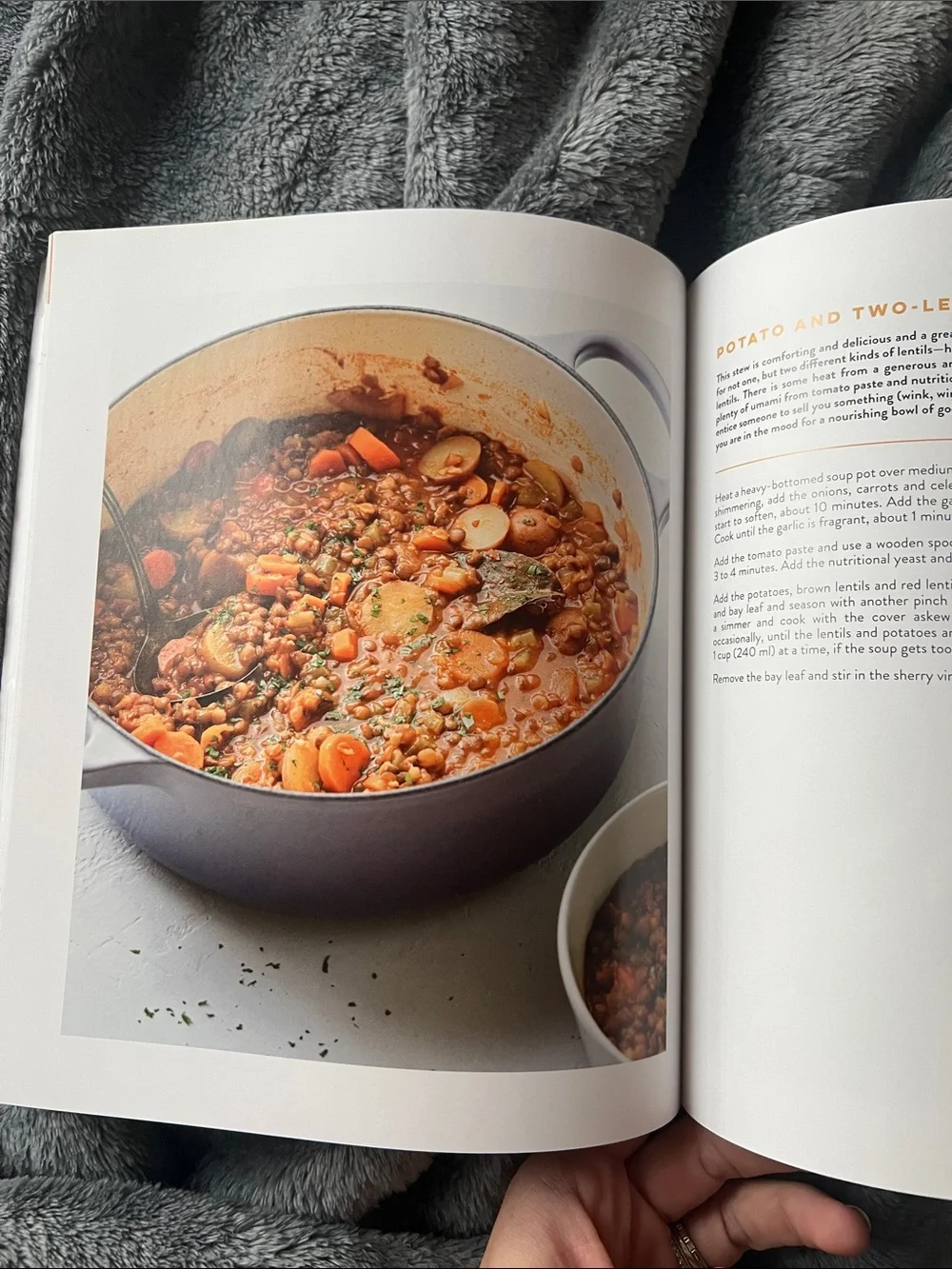 Vegan cookbook